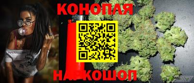 ГАЛЛЮЦИНОГЕННЫЕ ГРИБЫ Беслан