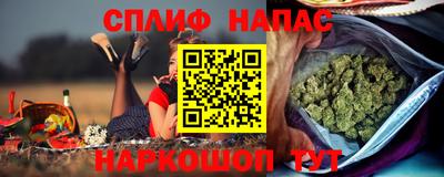 стаф Берёзовский