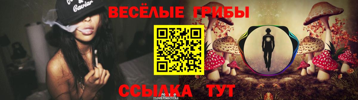 магазин продажи   Галлюциногенные грибы Magic Shrooms  Вход с VPN  Заводоуковск  Галлюциногенные грибы Psilocybine cubensis 